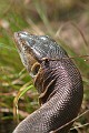 IMG_1863