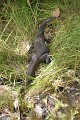 IMG_1864